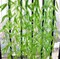 Fake Green Willow Rattan 71 Inch 10 Pcs Artificial Green Bamboo Leaves Artificial Greenery Lvy Vine Leaves Artificial Flower Garland for Home Hotel Office Wedding Party Garden Decor